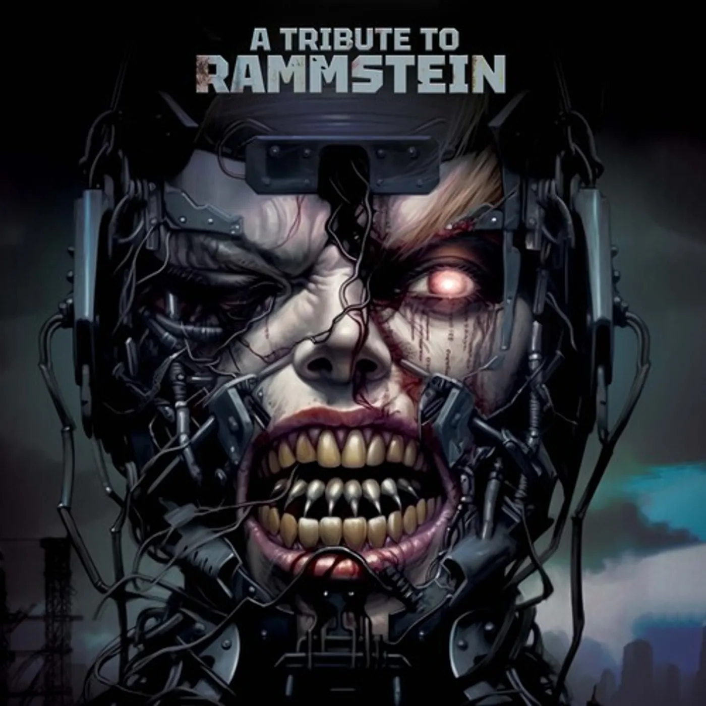 TRIBUTE TO RAMMSTEIN / VARIOUS CD