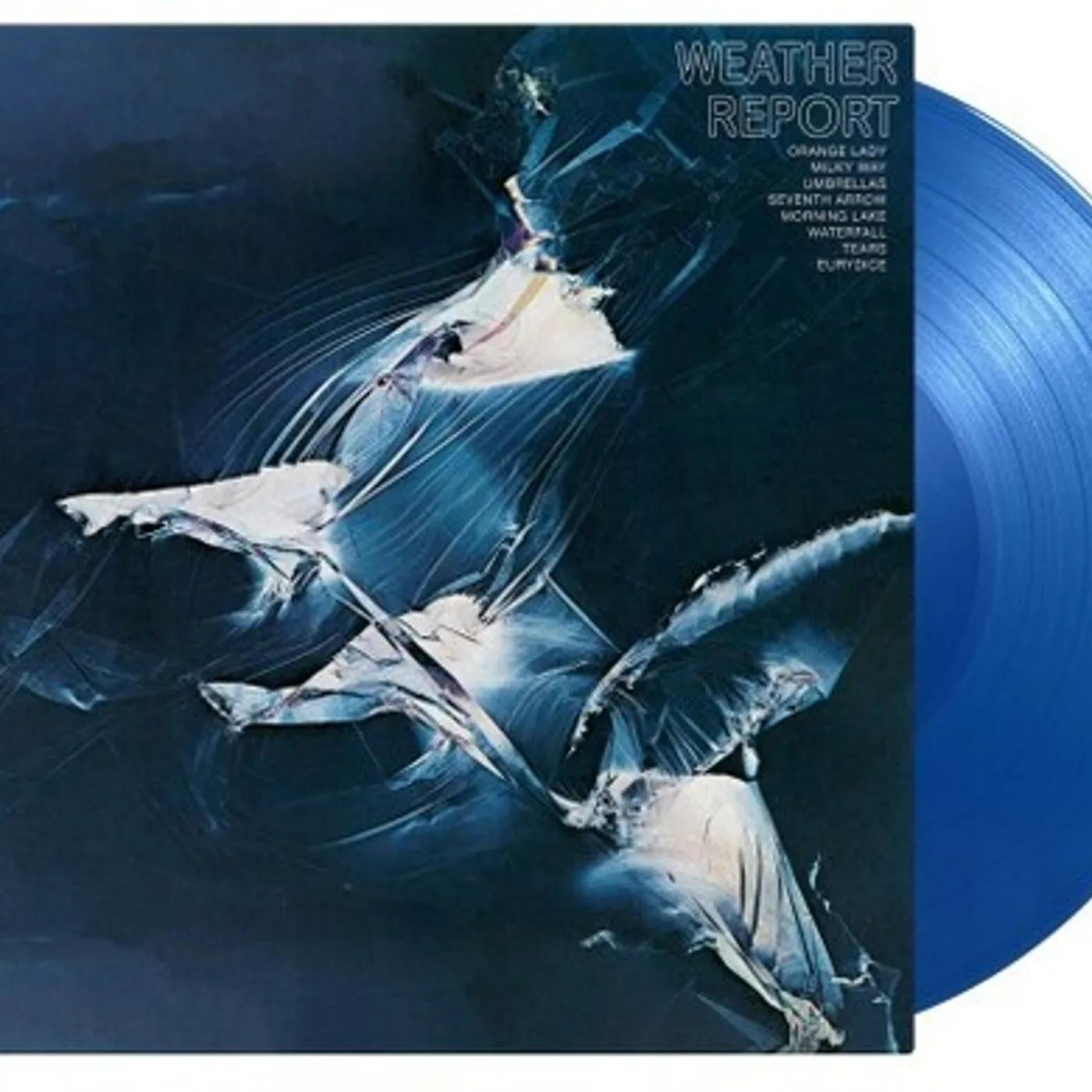 Weather Report Vinyl Record