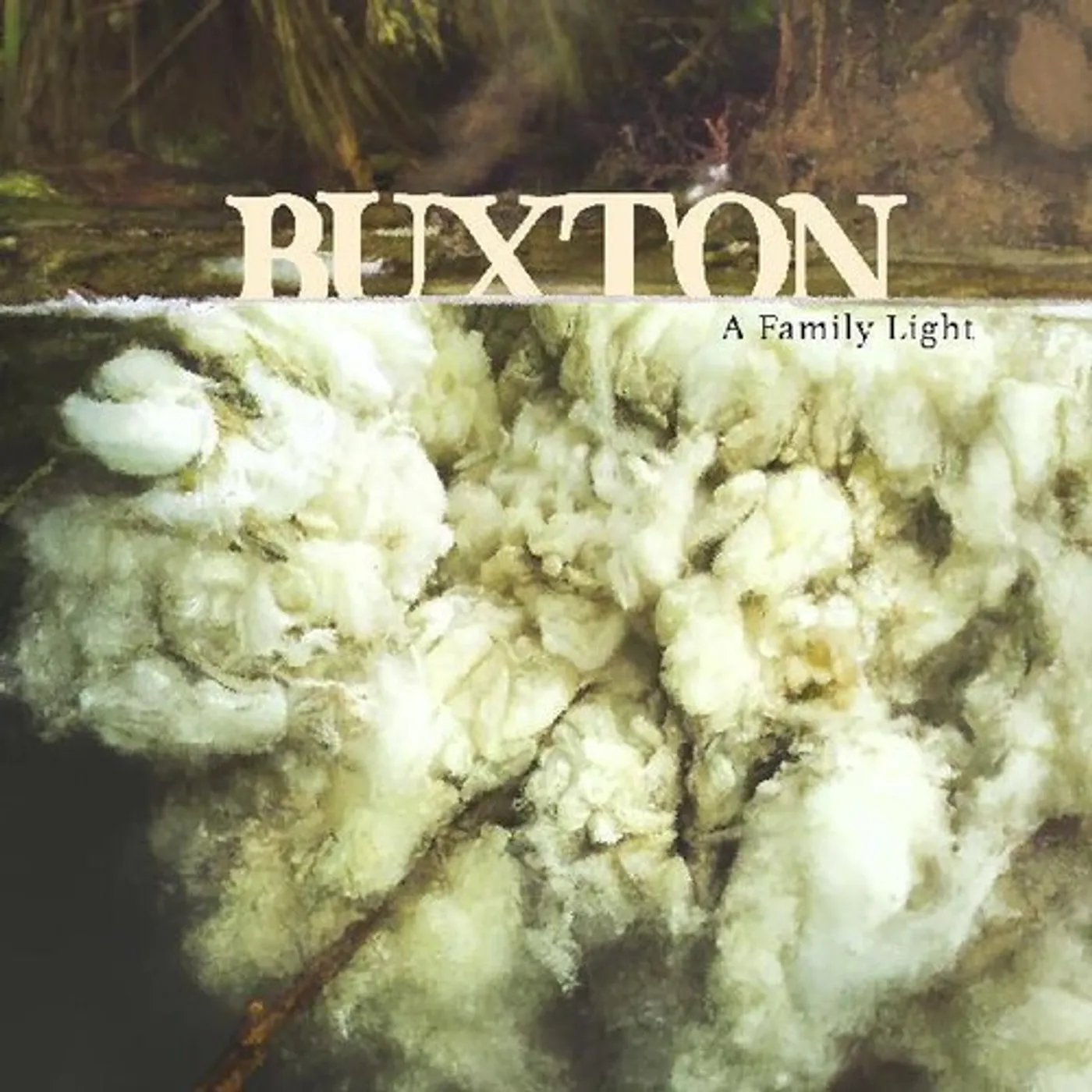 Buxton FAMILY LIGHT Vinyl Record