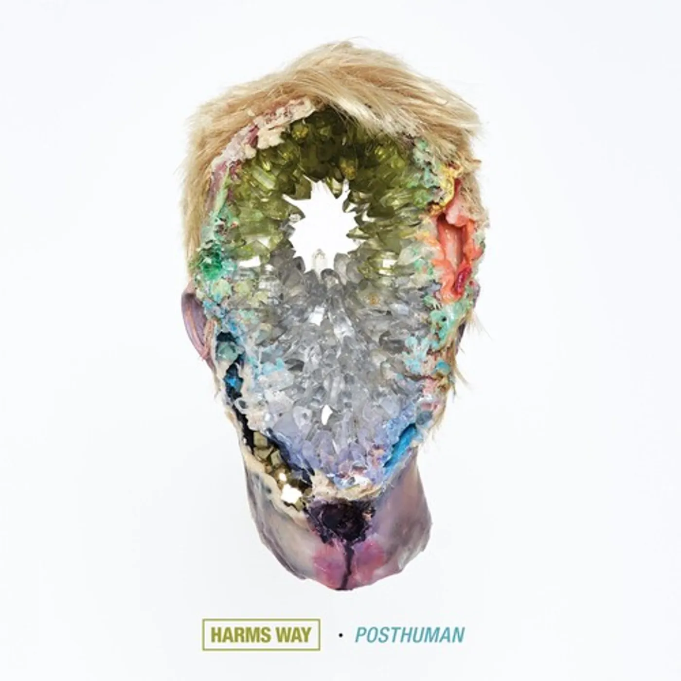 Harm's Way POSTHUMAN Vinyl Record