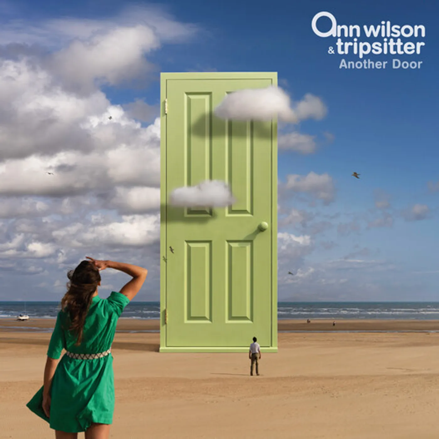 Ann Wilson / Tripsitter ANOTHER DOOR CD