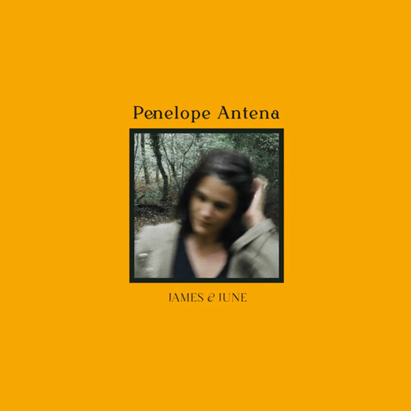 Penelope Antena JAMES & JUNE Vinyl Record