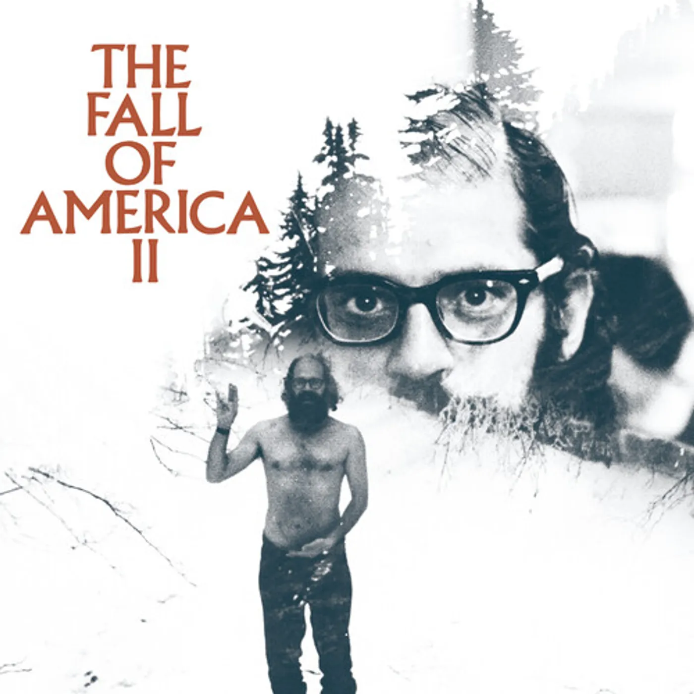 Allen Ginberg'S The Fall Of America Vol. 2 / Var