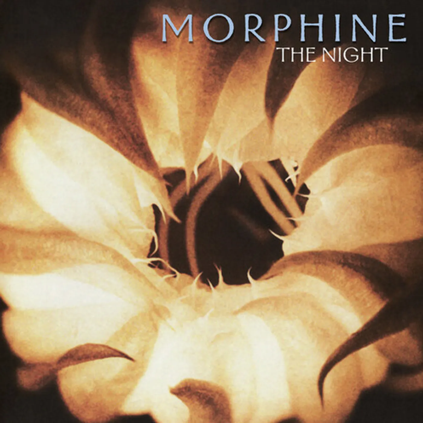 Morphine NIGHT - PURPLE Vinyl Record