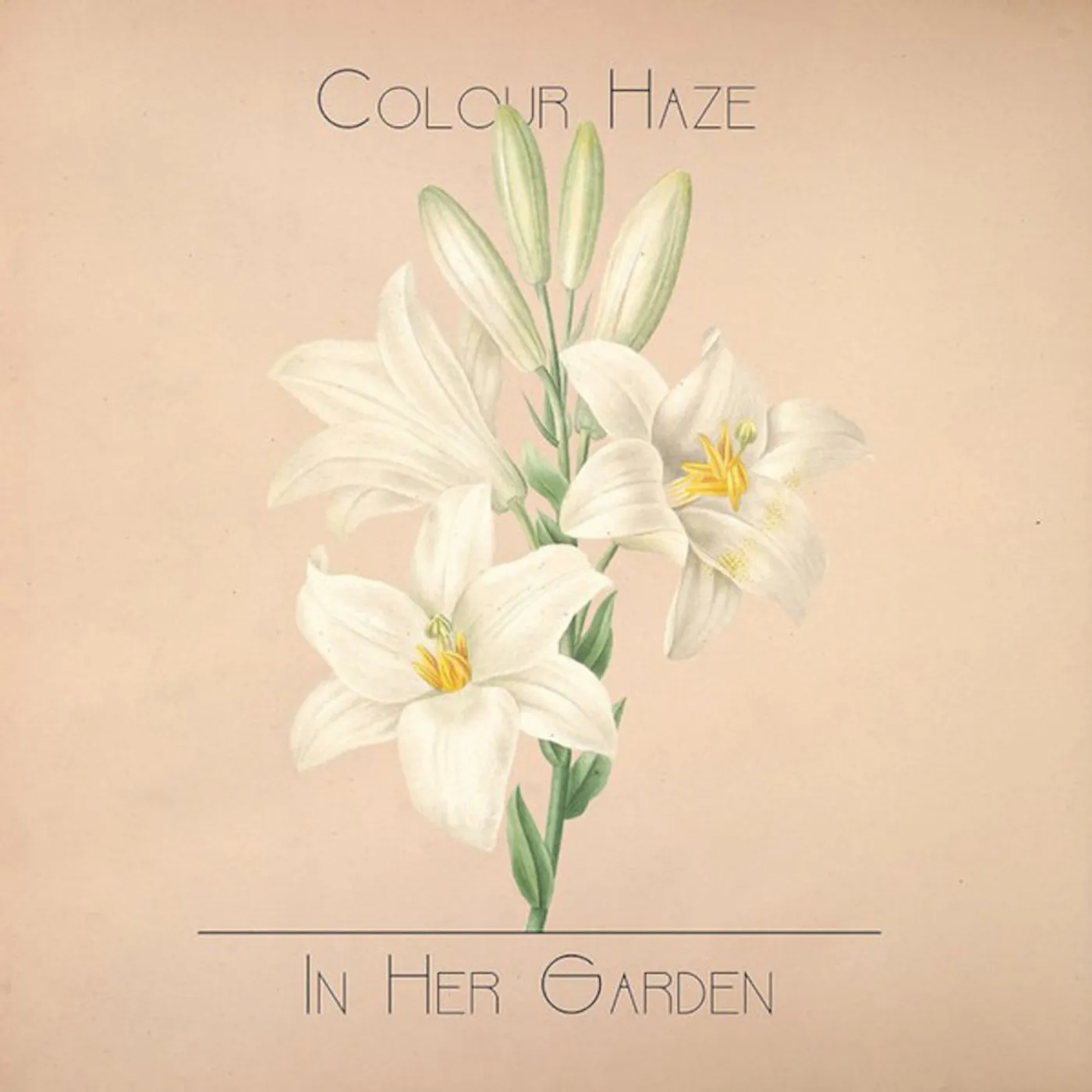 Colour Haze IN HER GARDEN Vinyl Record