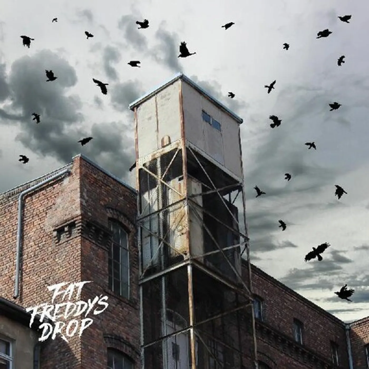 Fat Freddy's Drop HOPE Vinyl Record