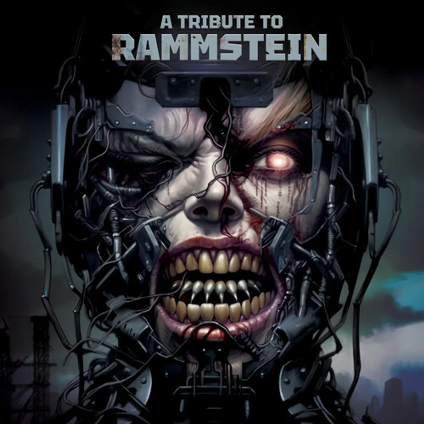Tribute To Rammstein / Various Vinyl Record
