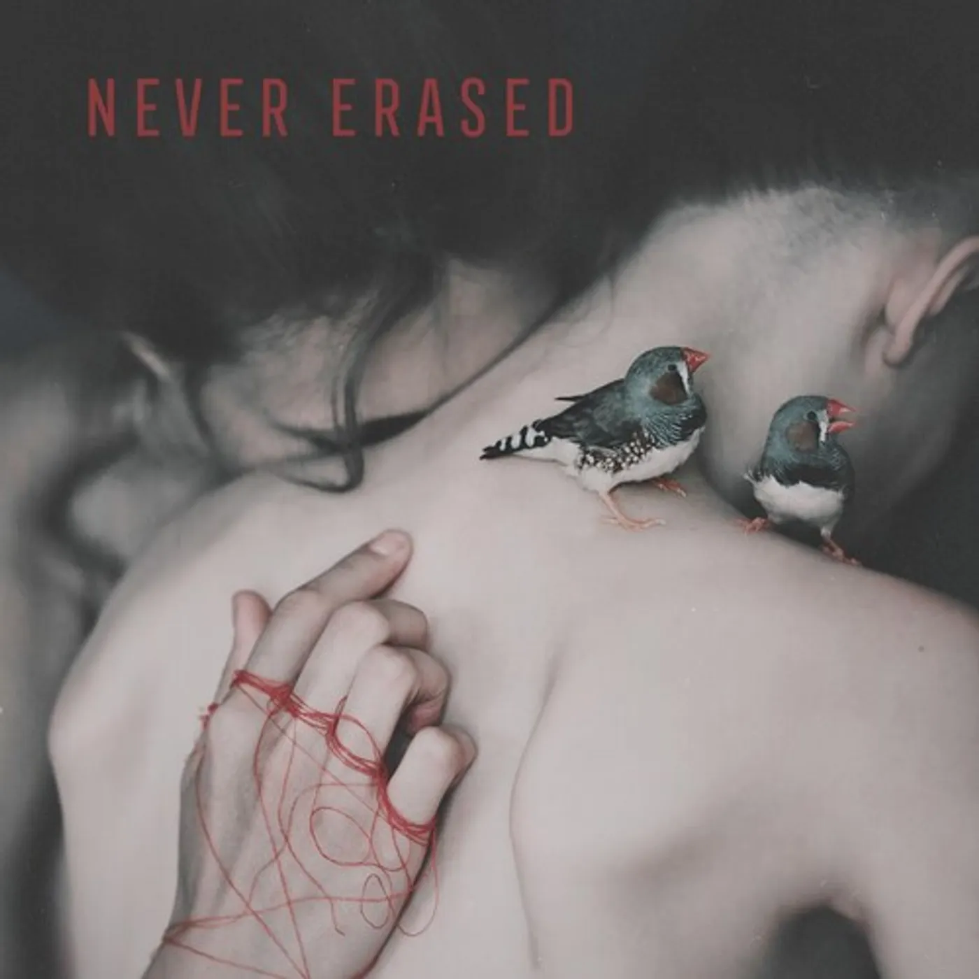 Never Erased / Various Vinyl Record
