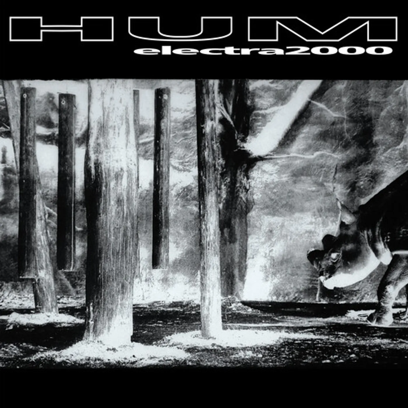 Hum ELECTRA 2000 Vinyl Record