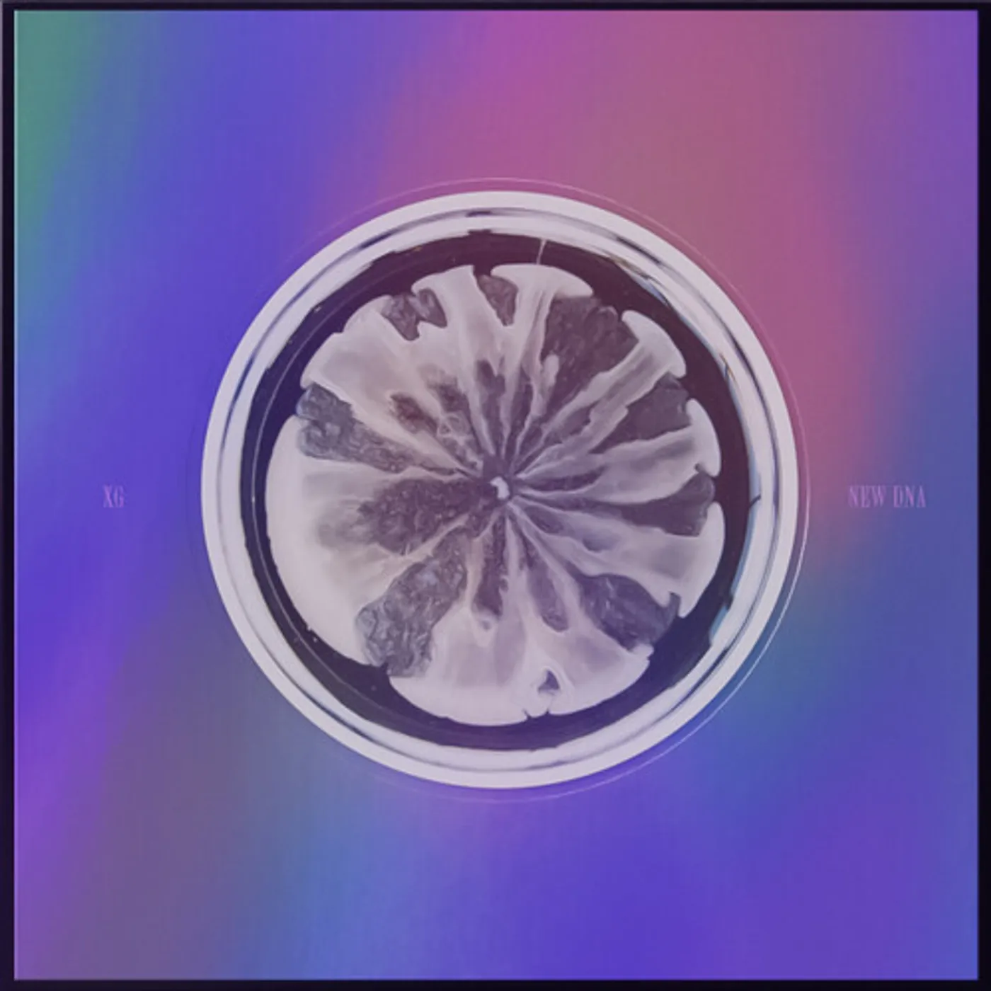 XG NEW DNA (X VERSION) CD