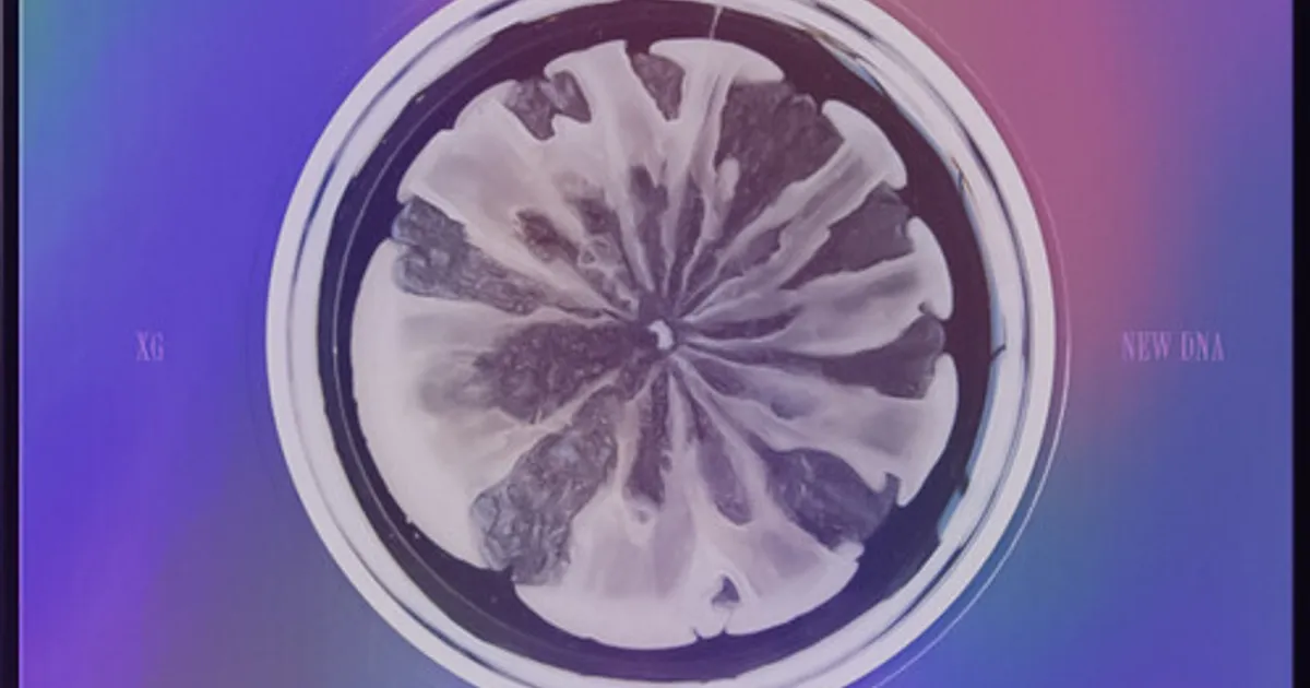 XG NEW DNA (X VERSION) CD