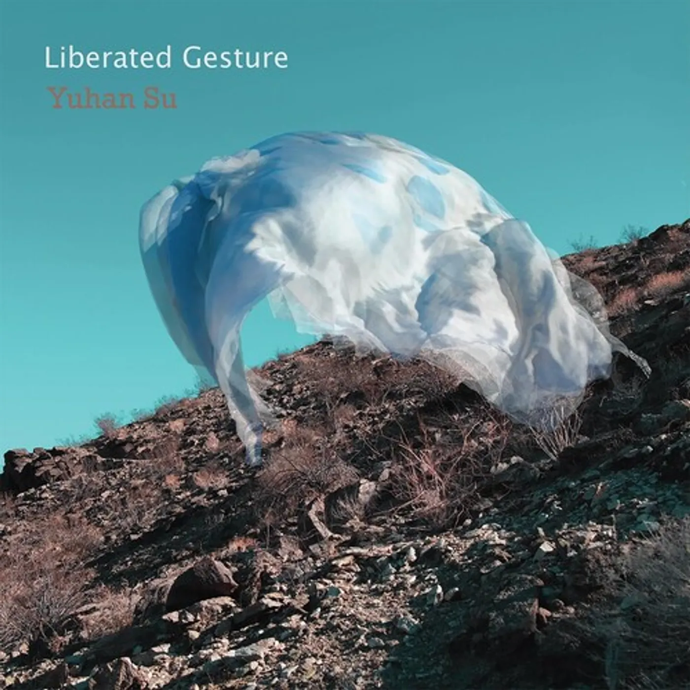 Yuhan Su LIBERATED GESTURE CD