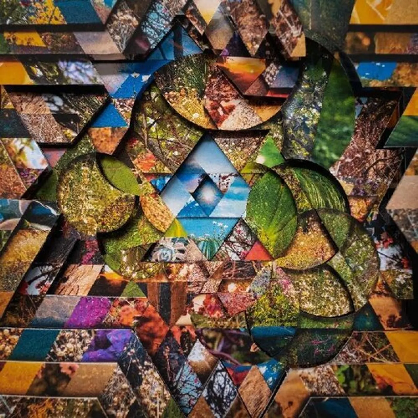 Miguel Atwood-Ferguson LES JARDINS MYSTIQUES 1 Vinyl Record