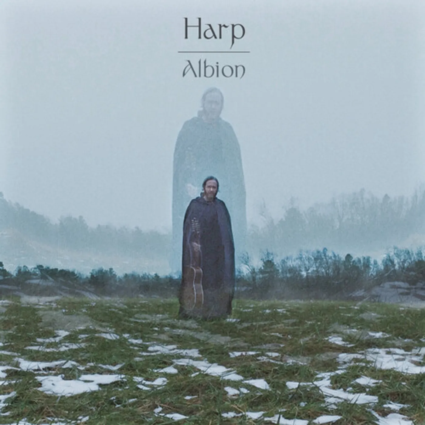 Harp ALBION Vinyl Record