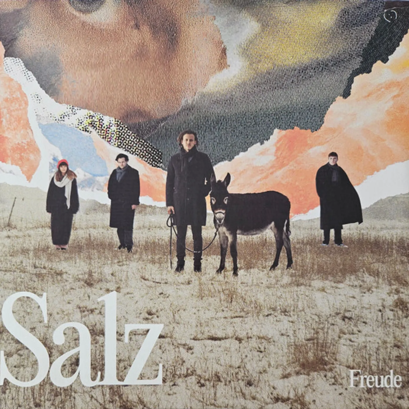 Freude Salz Vinyl Record