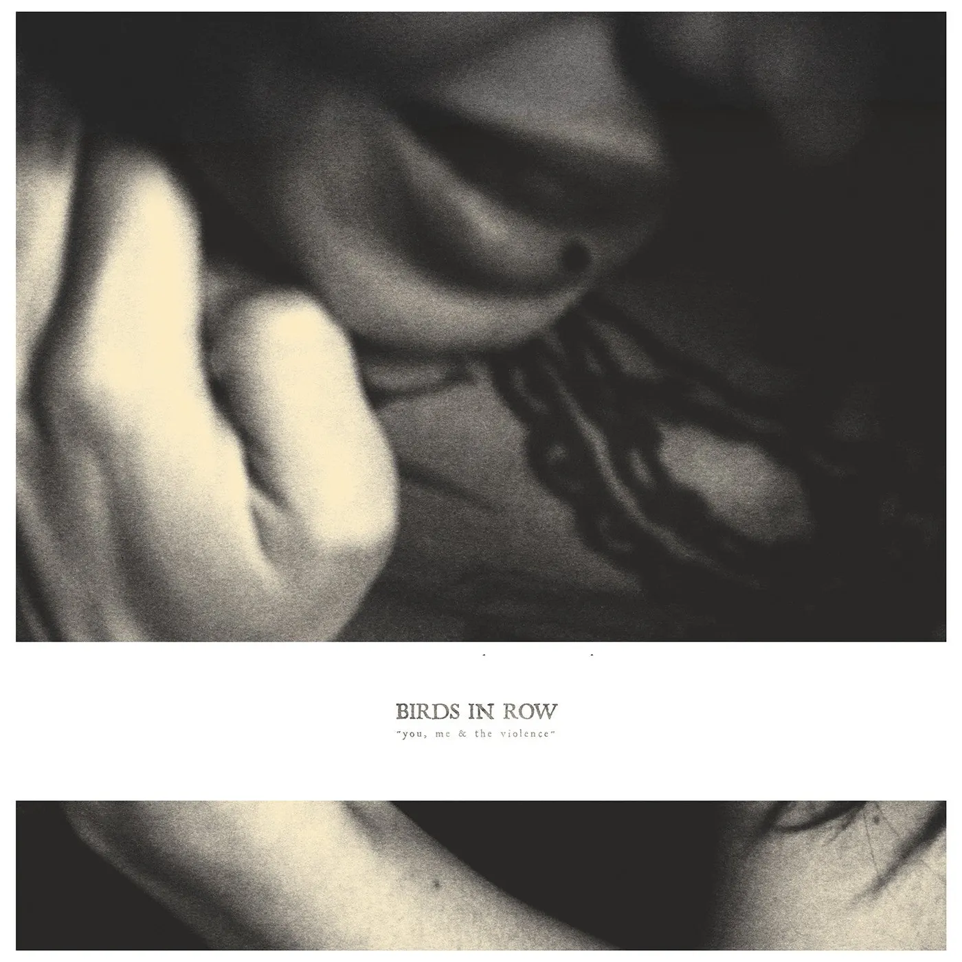 Birds in Row YOU ME & THE VIOLENCE Vinyl Record