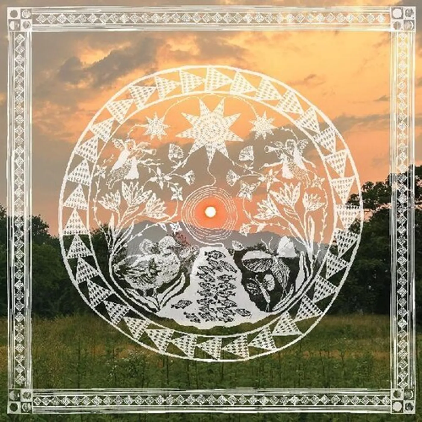 Daniel Bachman When The Roses Come Again (Newly Bloomed Rose Red) Vinyl Record