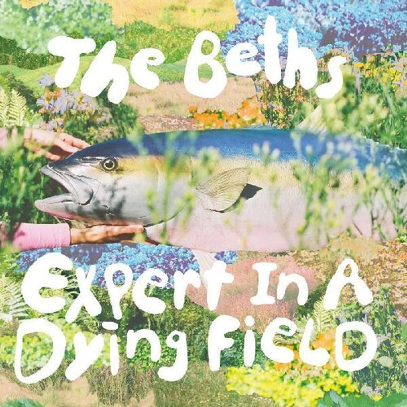 The Beths Expert In A Dying Field Vinyl Record