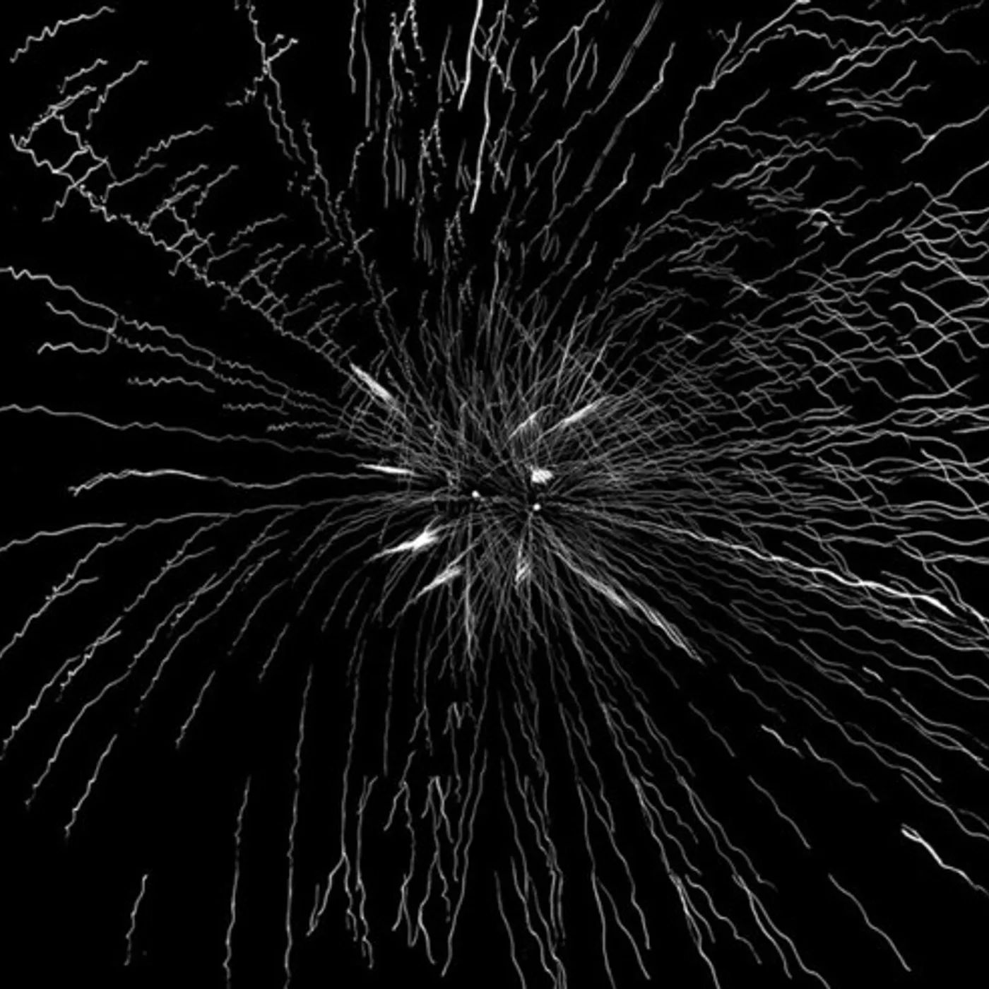 Tom Thiel ALBUM Vinyl Record