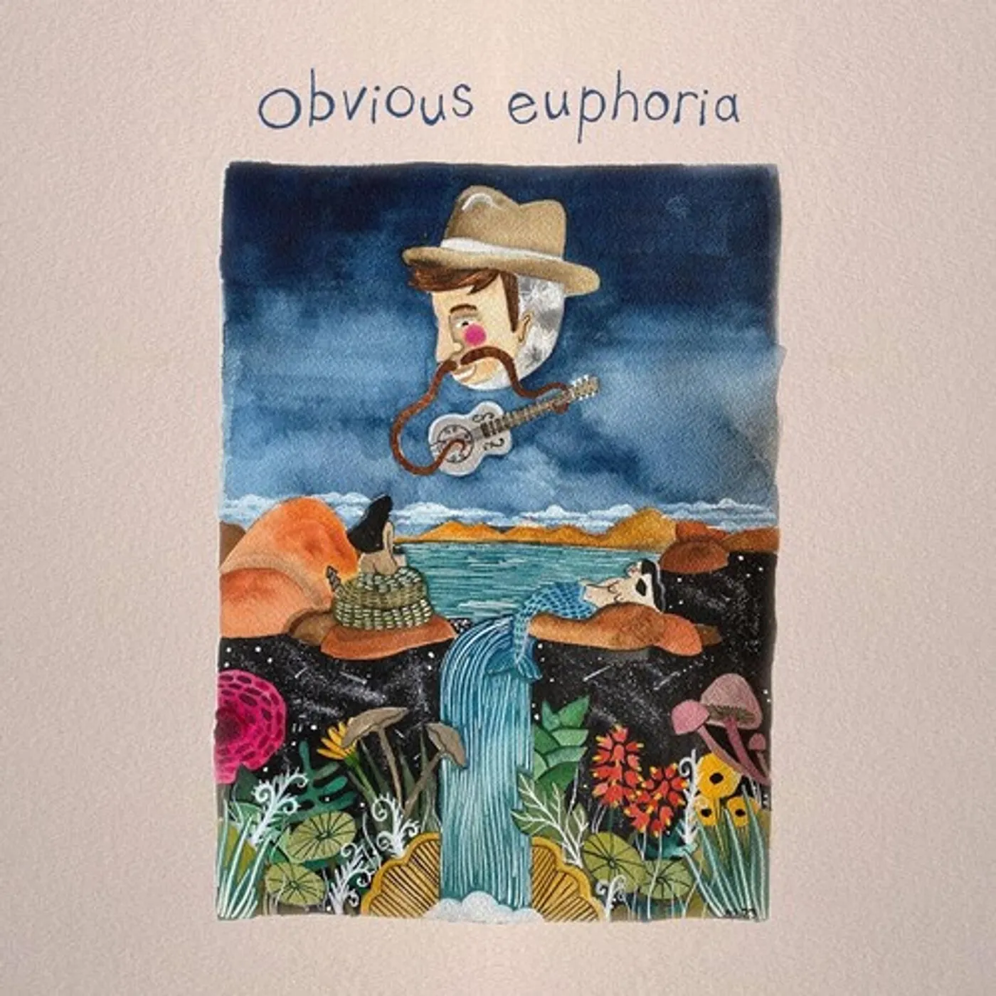 Matt Mitchell Music Co. OBVIOUS EUPHORIA CD
