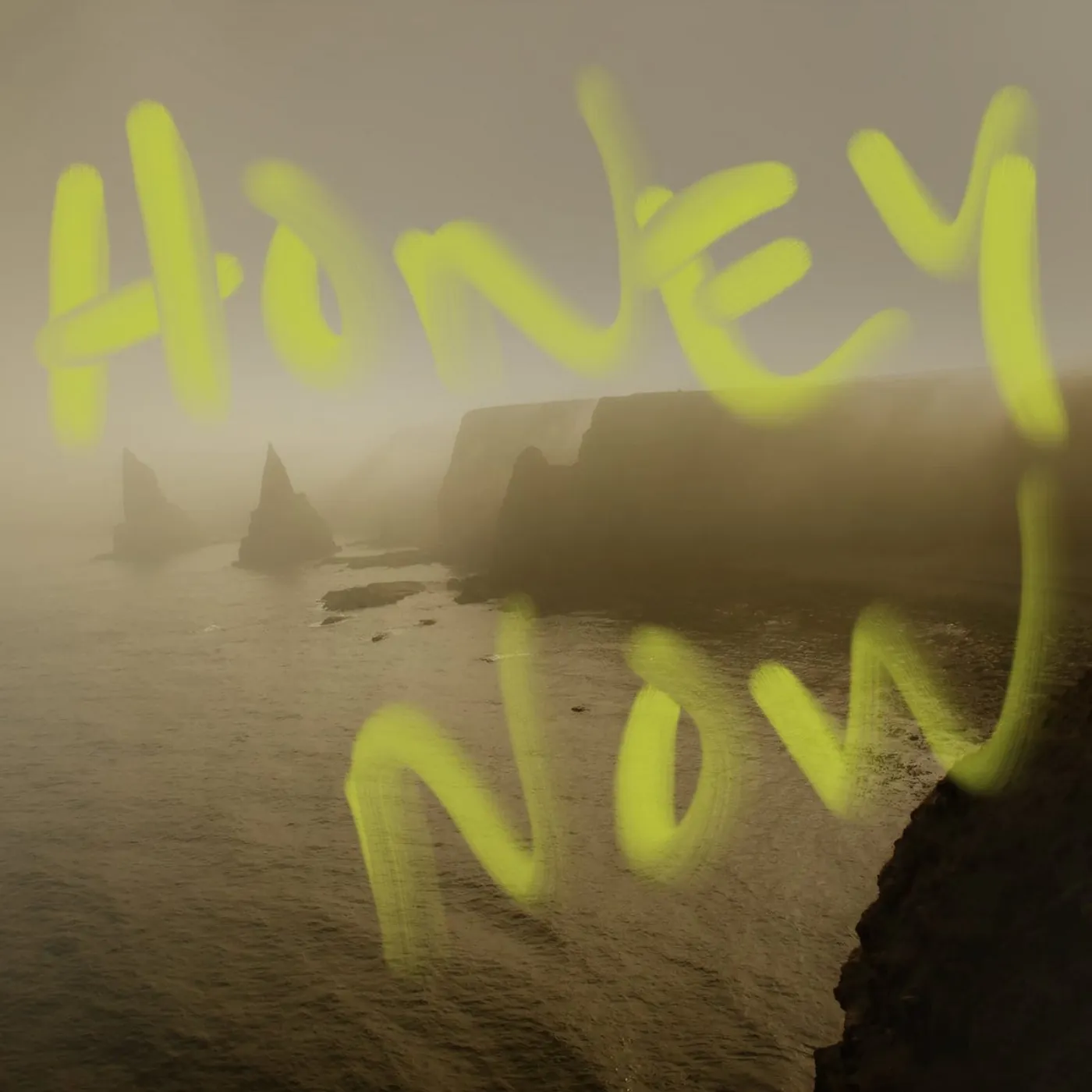 Neon Waltz HONEY NOW Vinyl Record