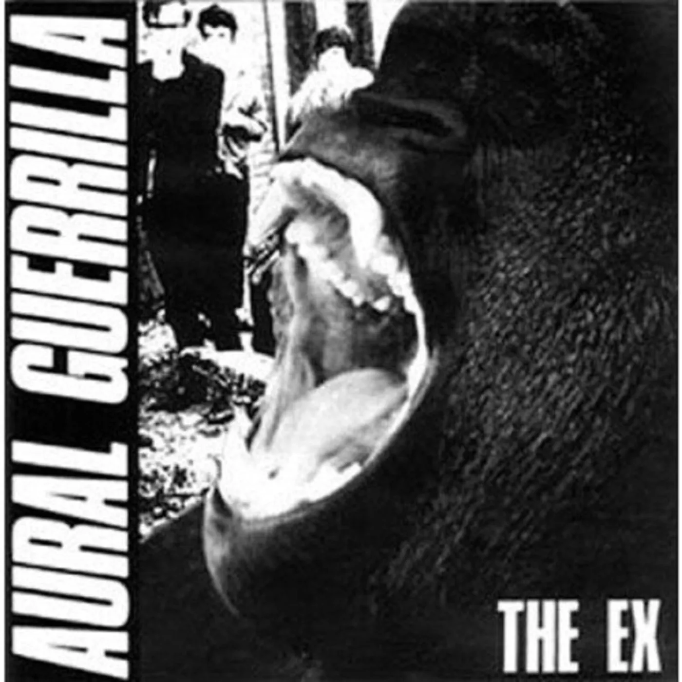 Ex AURAL GUERRILLA Vinyl Record