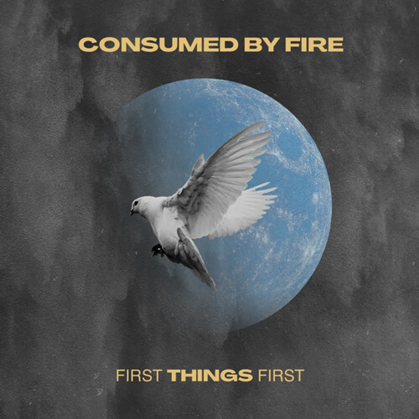 Consumed By Fire FIRST THINGS FIRST CD