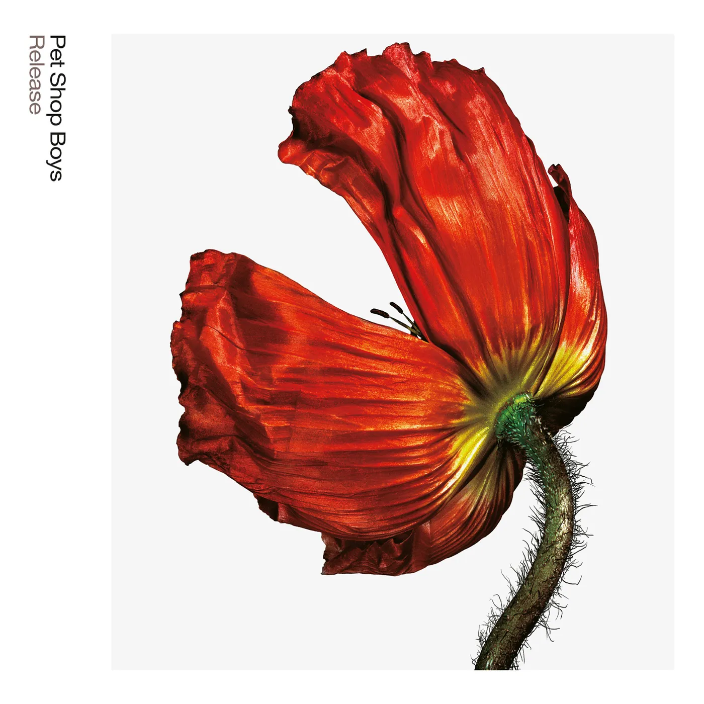 Pet Shop Boys RELEASE: FURTHER LISTENING 2001-2004 CD