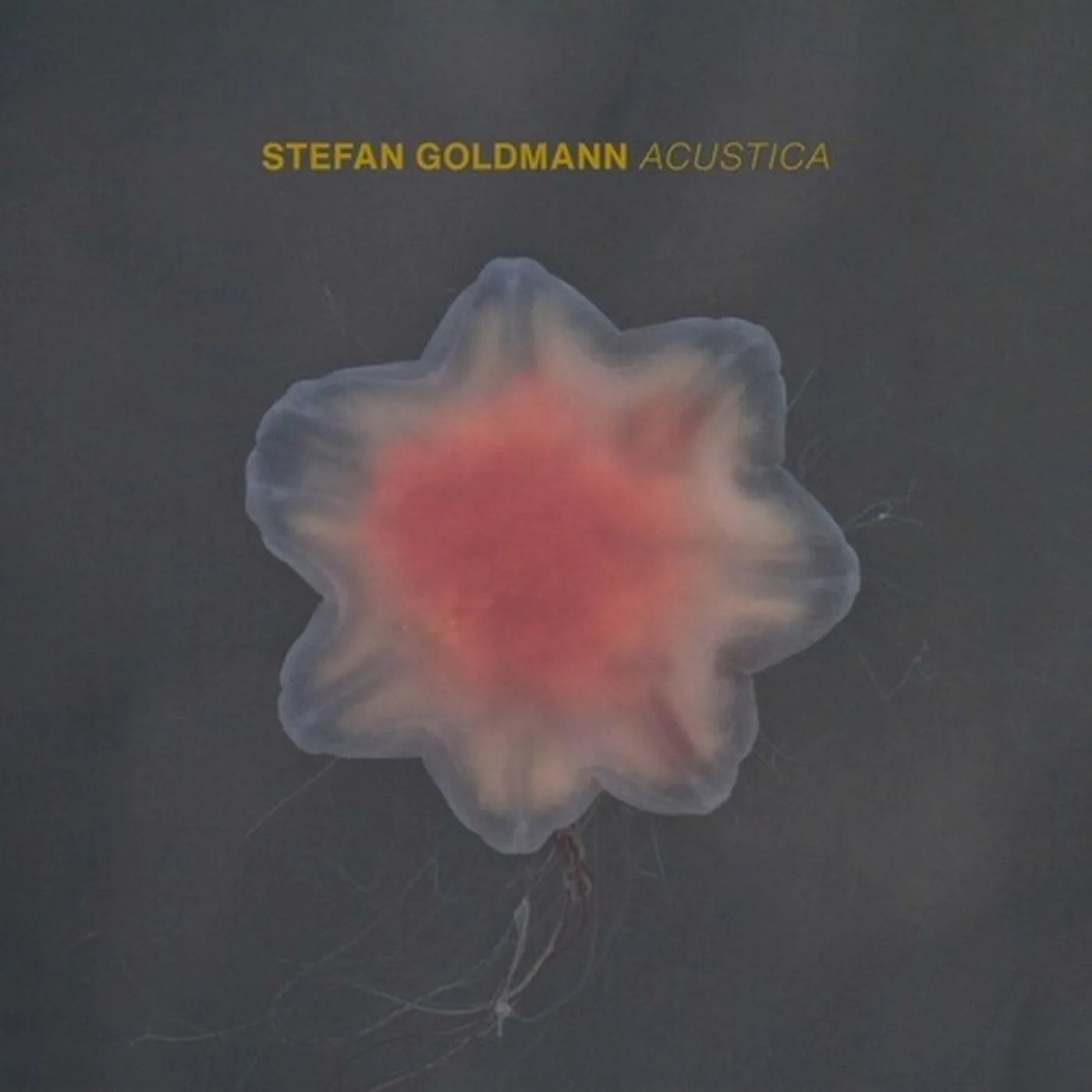 Stefan Goldmann ACUSTICA CD
