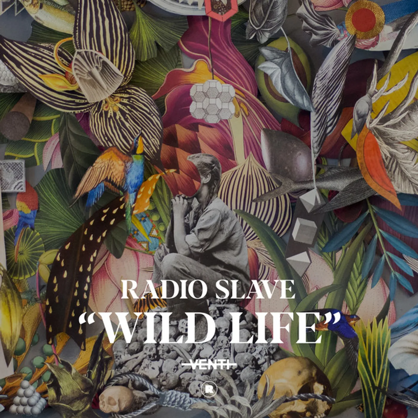 Radio Slave Wild Life Vinyl Record
