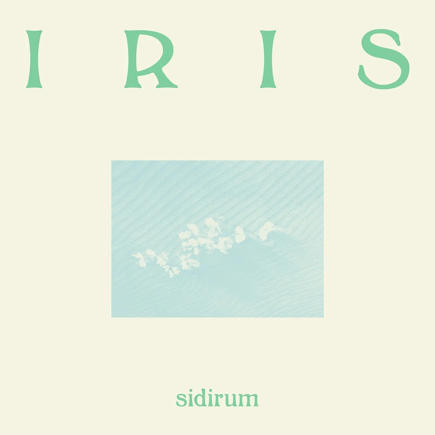 SidiRum IRIS Vinyl Record