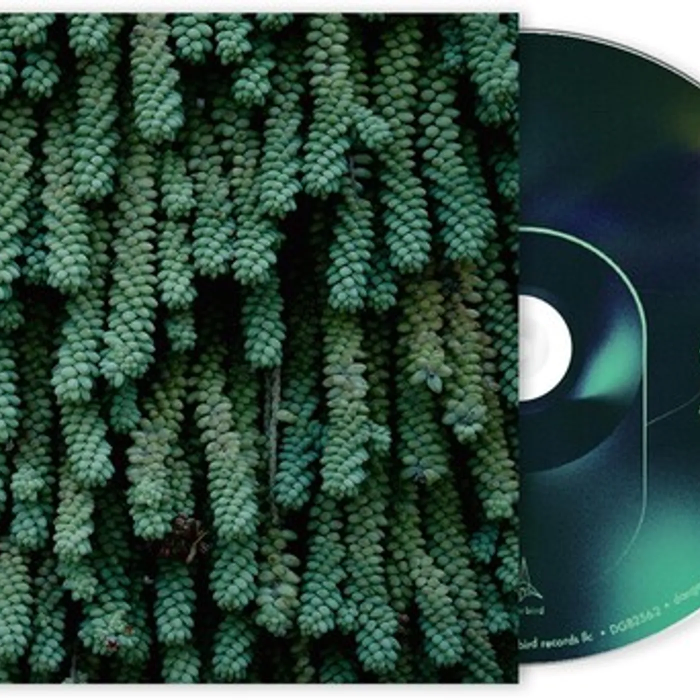 Hank May TAILS CD