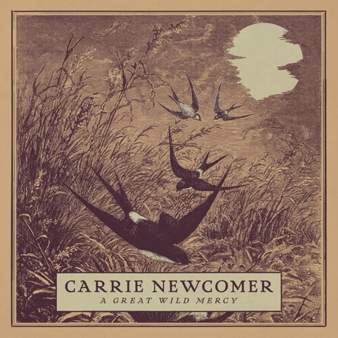 Carrie Newcomer GREAT WILD MERCY CD