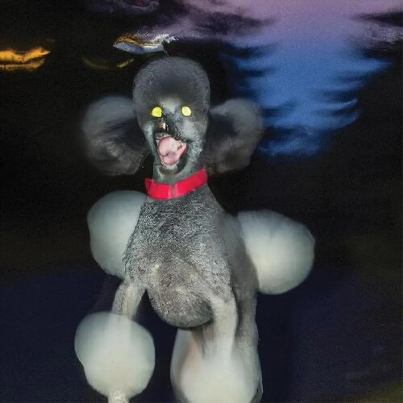 Hit Bargain DOG A DEER A SEAL Vinyl Record
