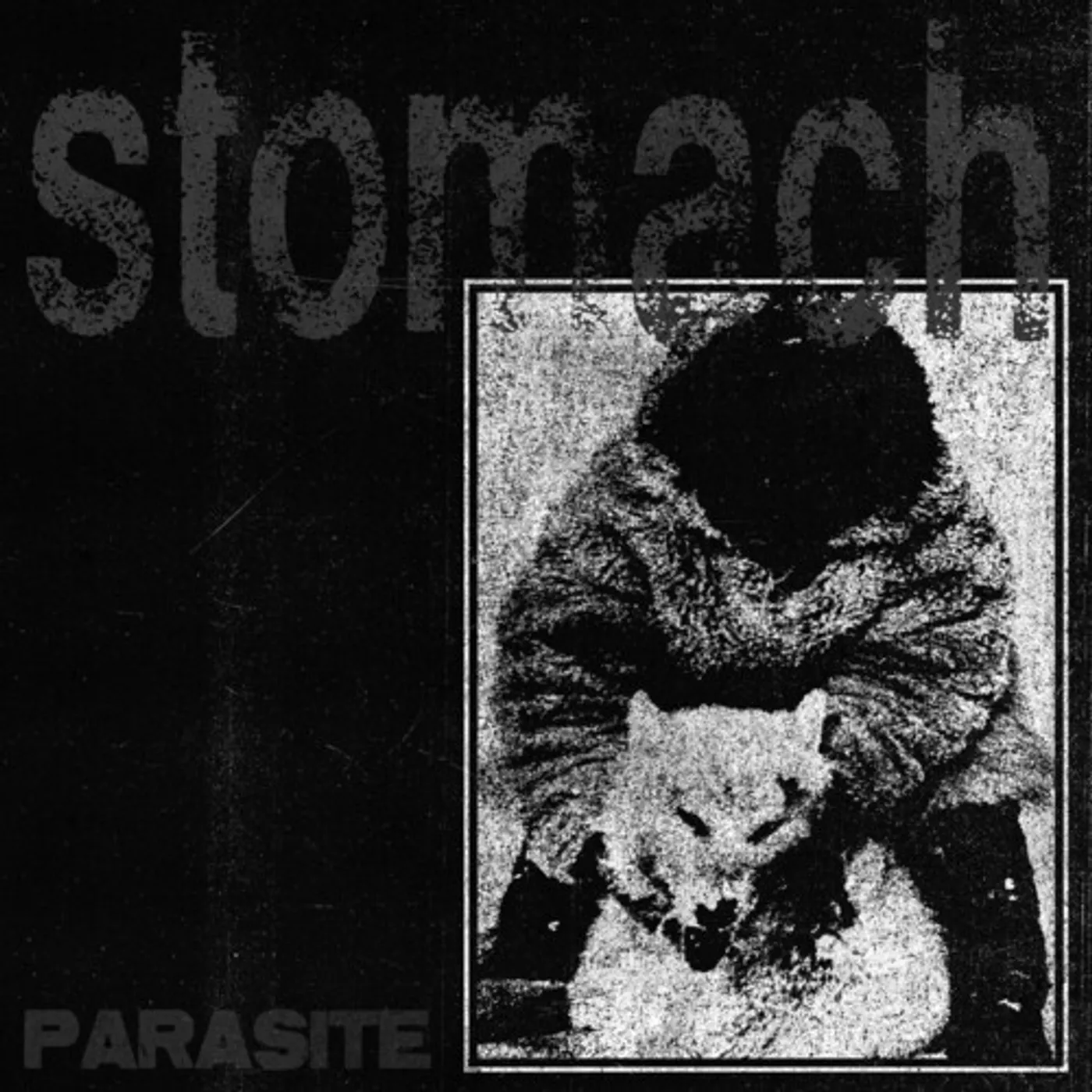 STOMACH PARASITE Vinyl Record