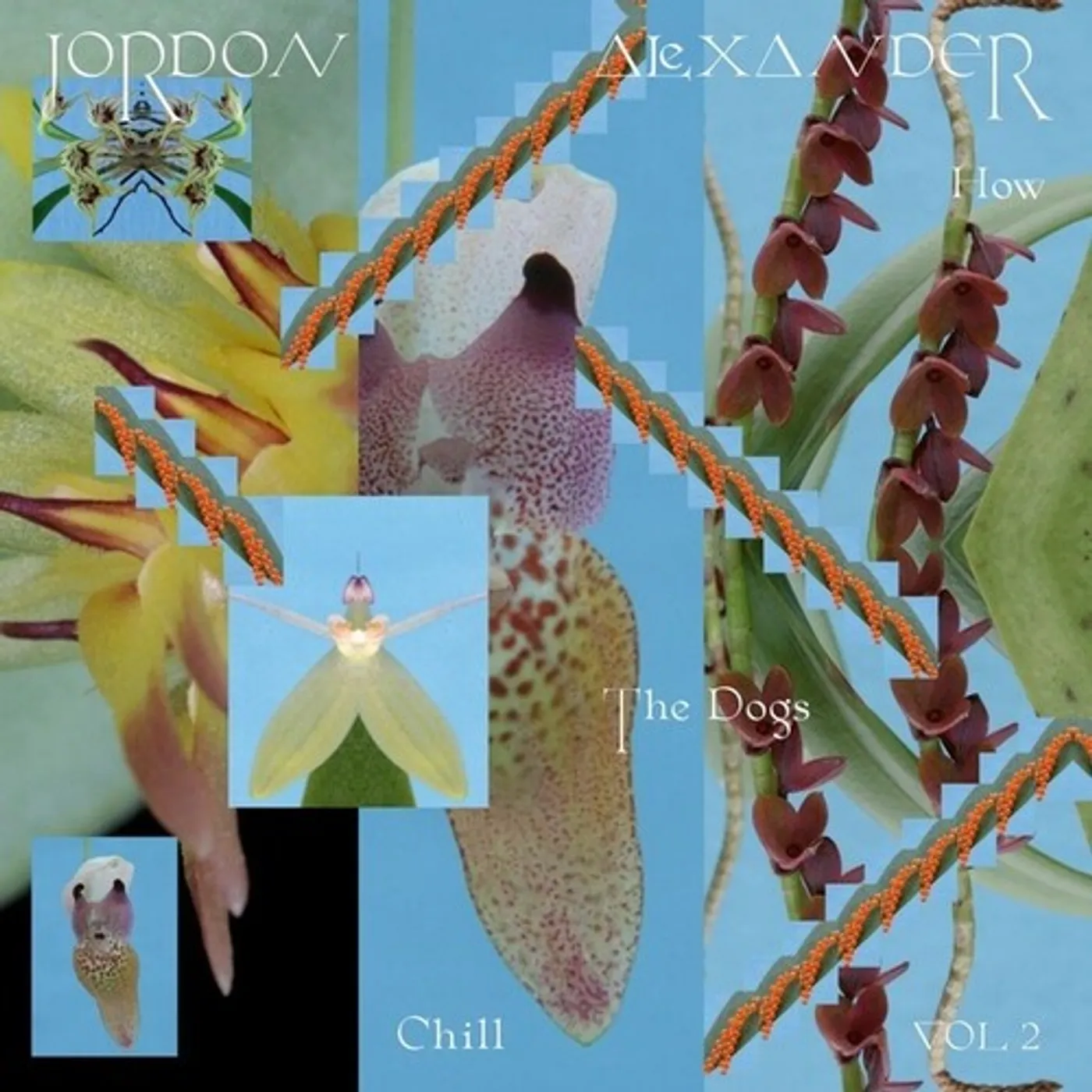 Jordon Alexander HOW THE DOGS CHILL 2 Vinyl Record