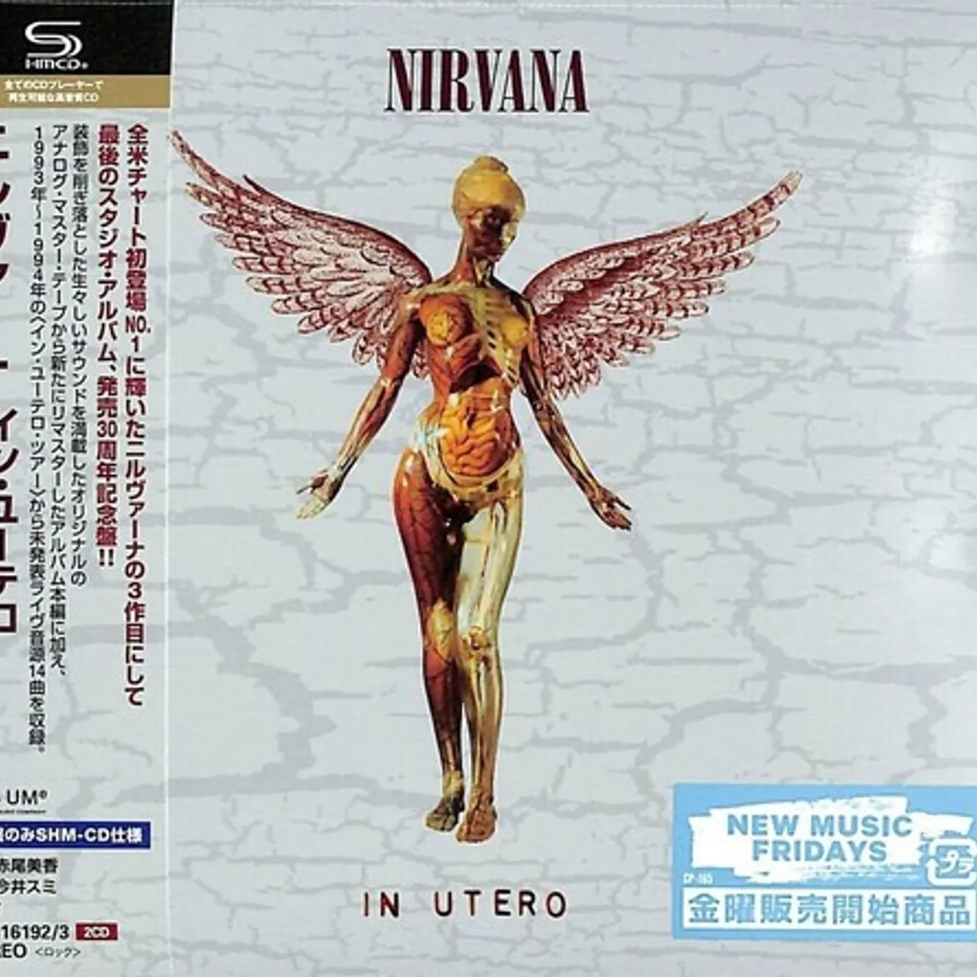Nirvana IN UTERO - 30TH ANNIVERSARY CD