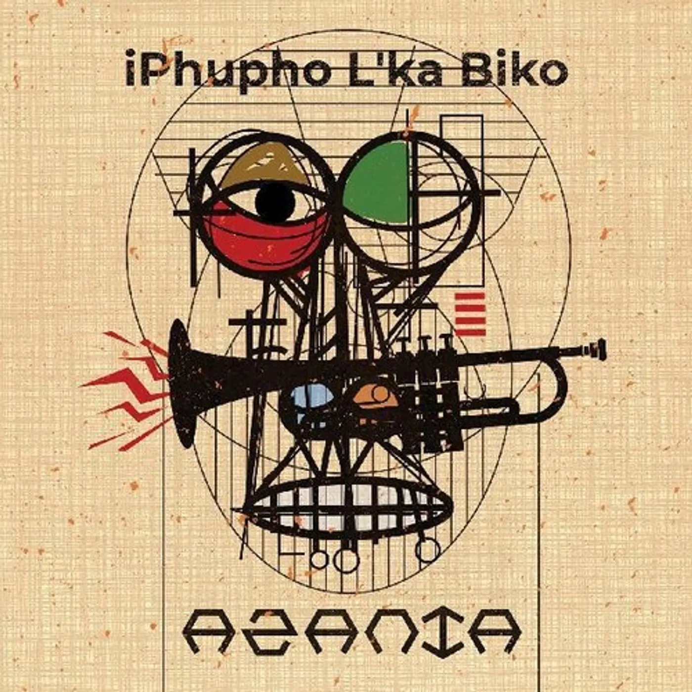 iPhupho L'ka Biko AZANIA Vinyl Record