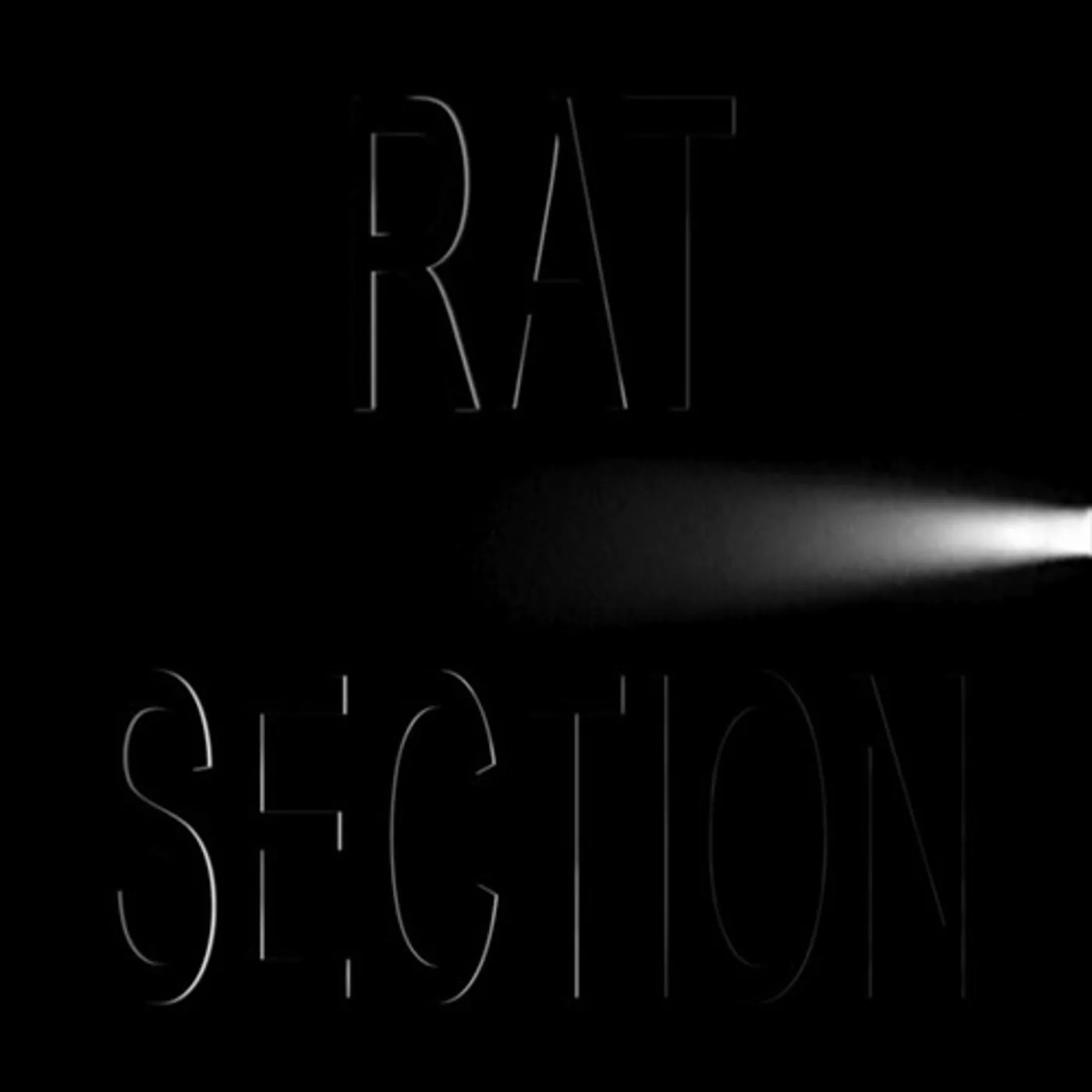 Rat Section WHAT STAYS IN VEGAS CD
