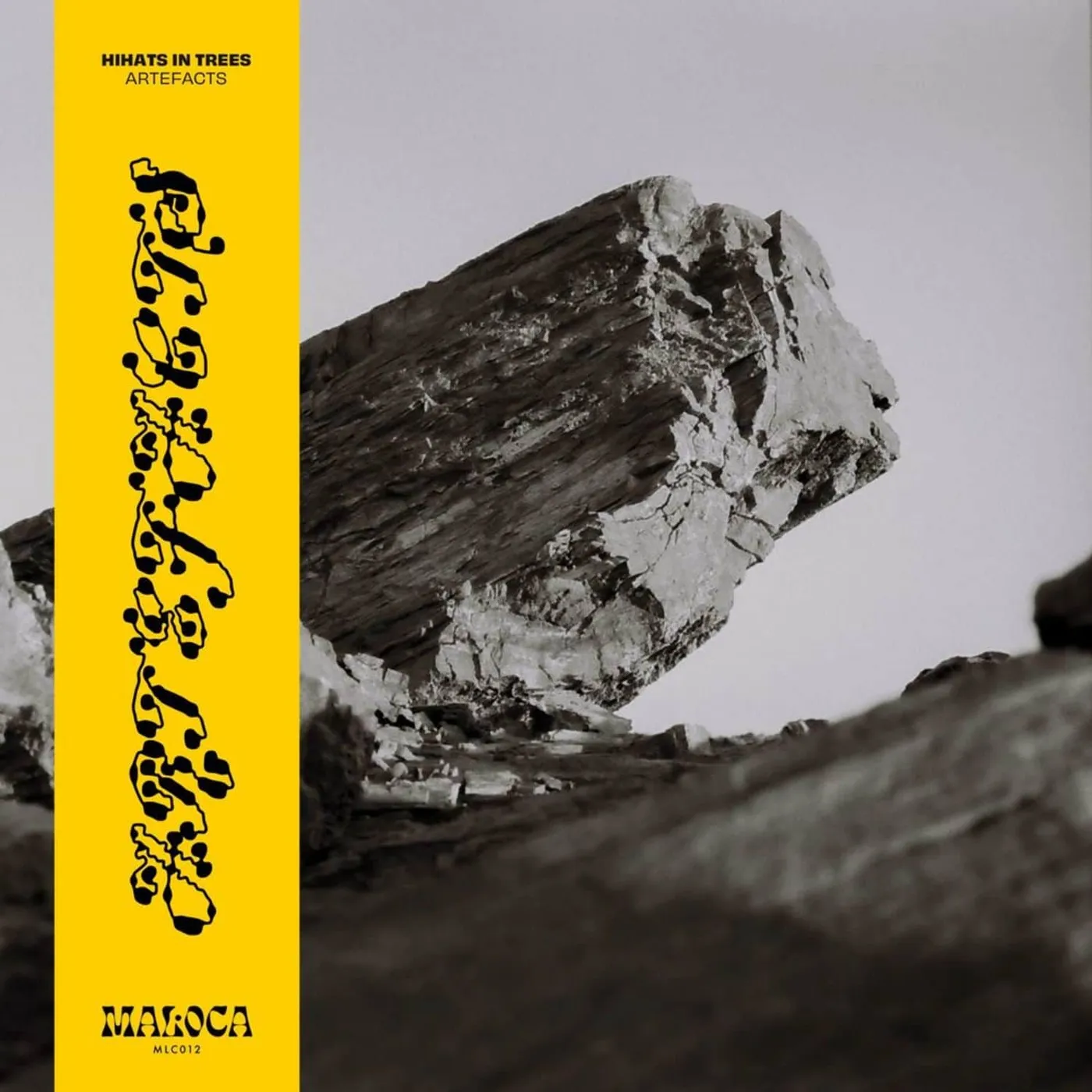 Hihats In Trees ARTEFACTS Vinyl Record