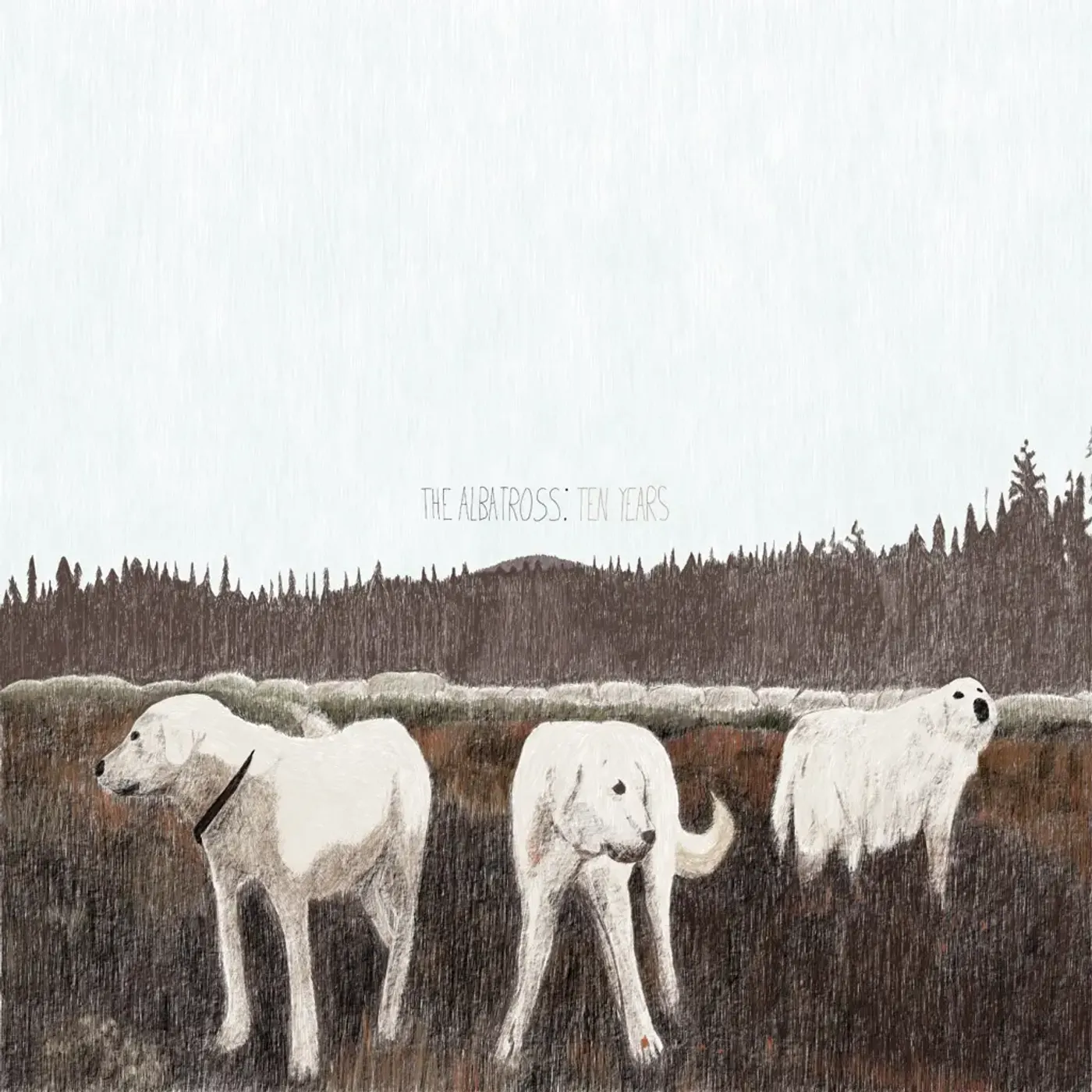 Foxing ALBATROSS: TEN YEARS Vinyl Record