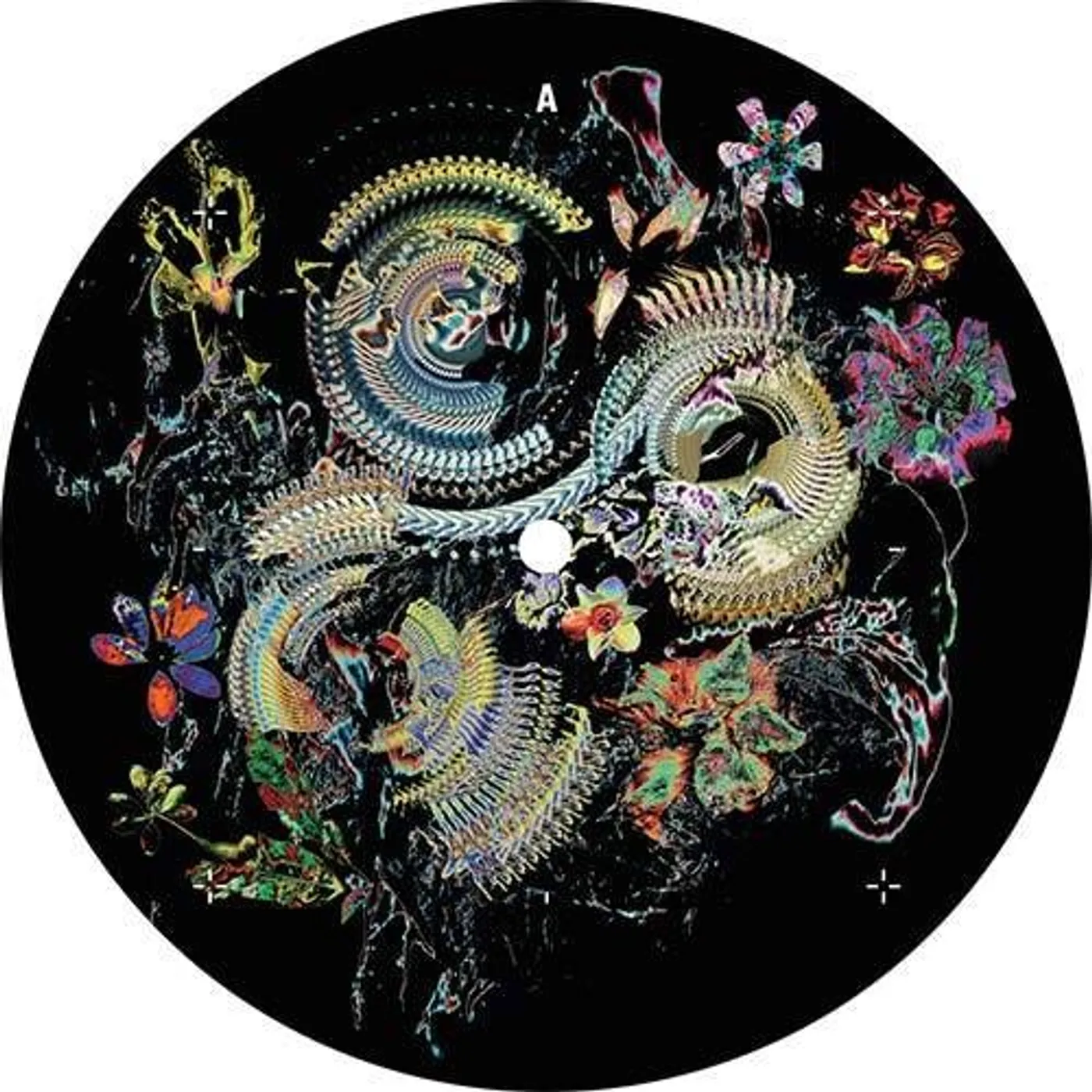 Victor Ruiz BLOOM Vinyl Record