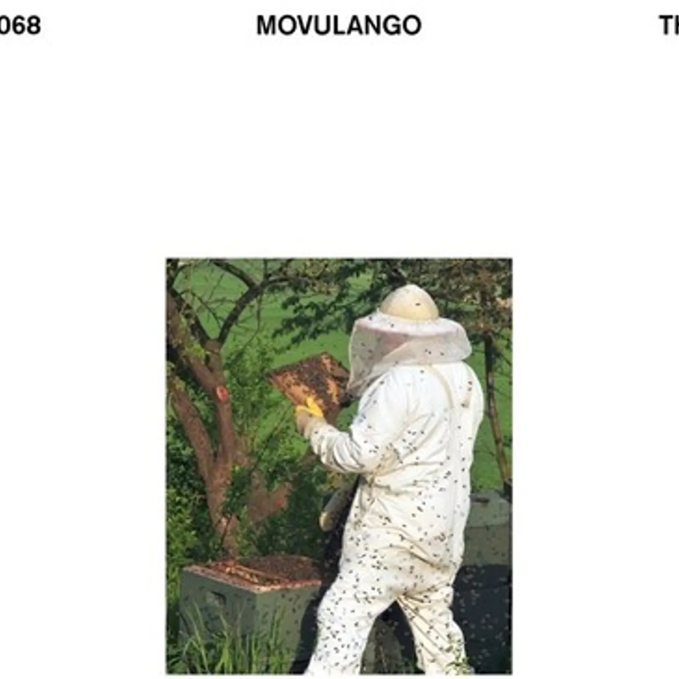 Movulango IRONY Vinyl Record