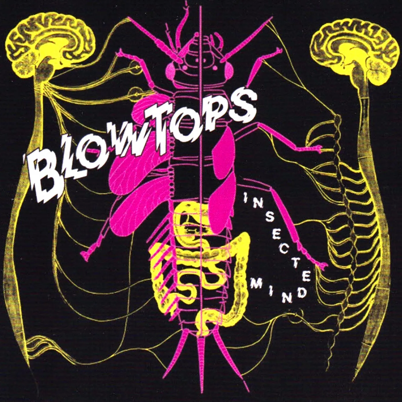 The Blowtops Insected Mind Vinyl Record