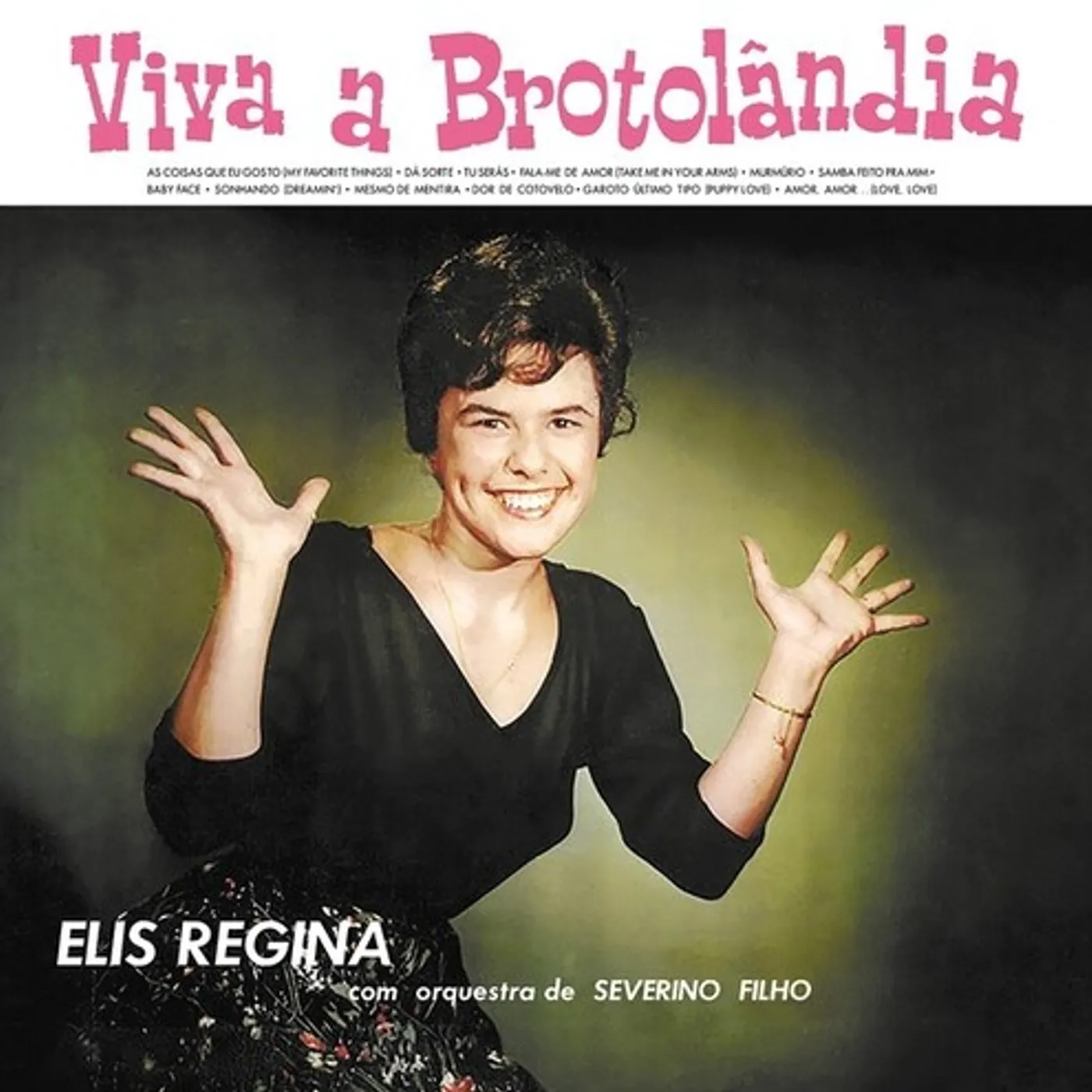 Elis Regina Viva a Brotolandia Vinyl Record