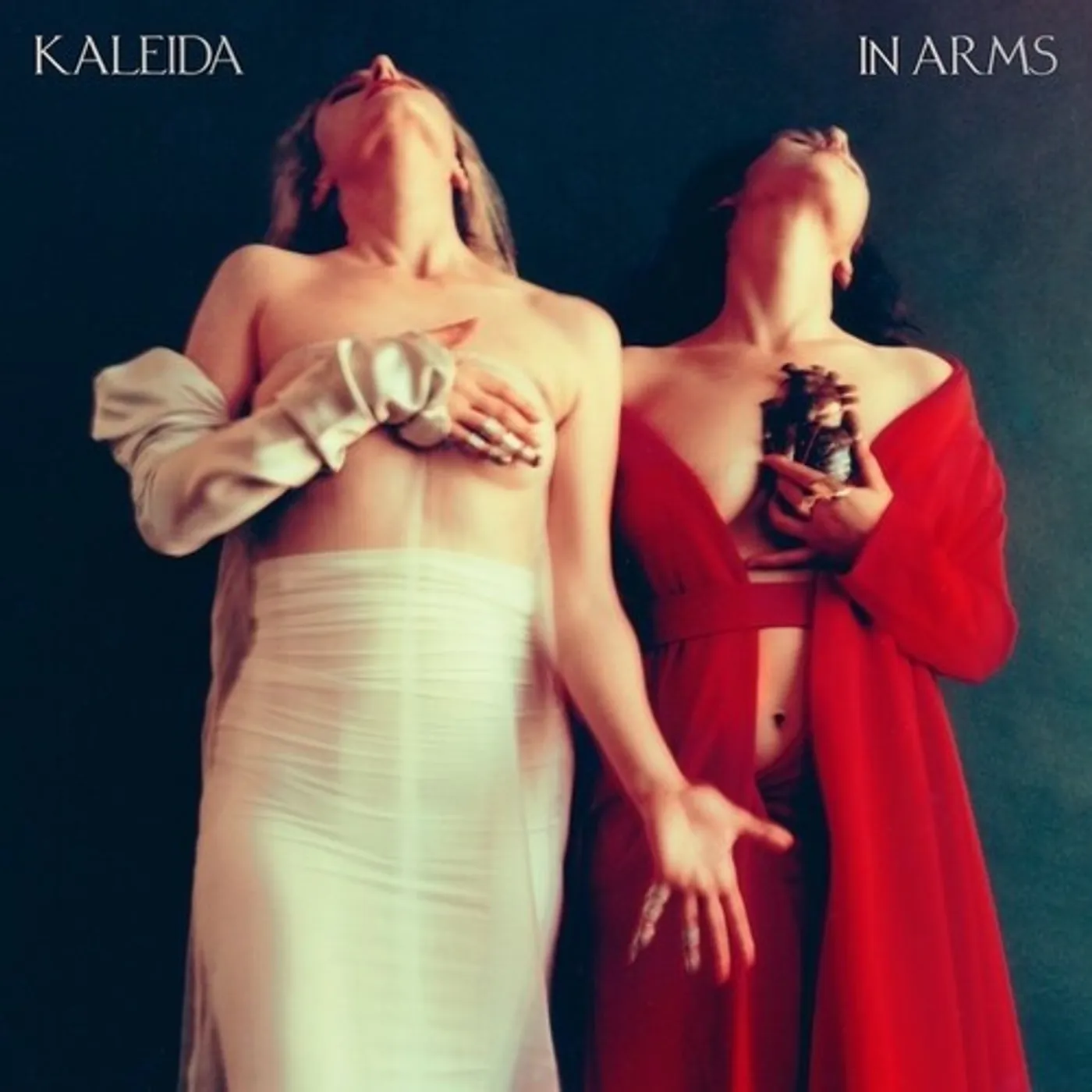Kaleida IN ARMS Vinyl Record
