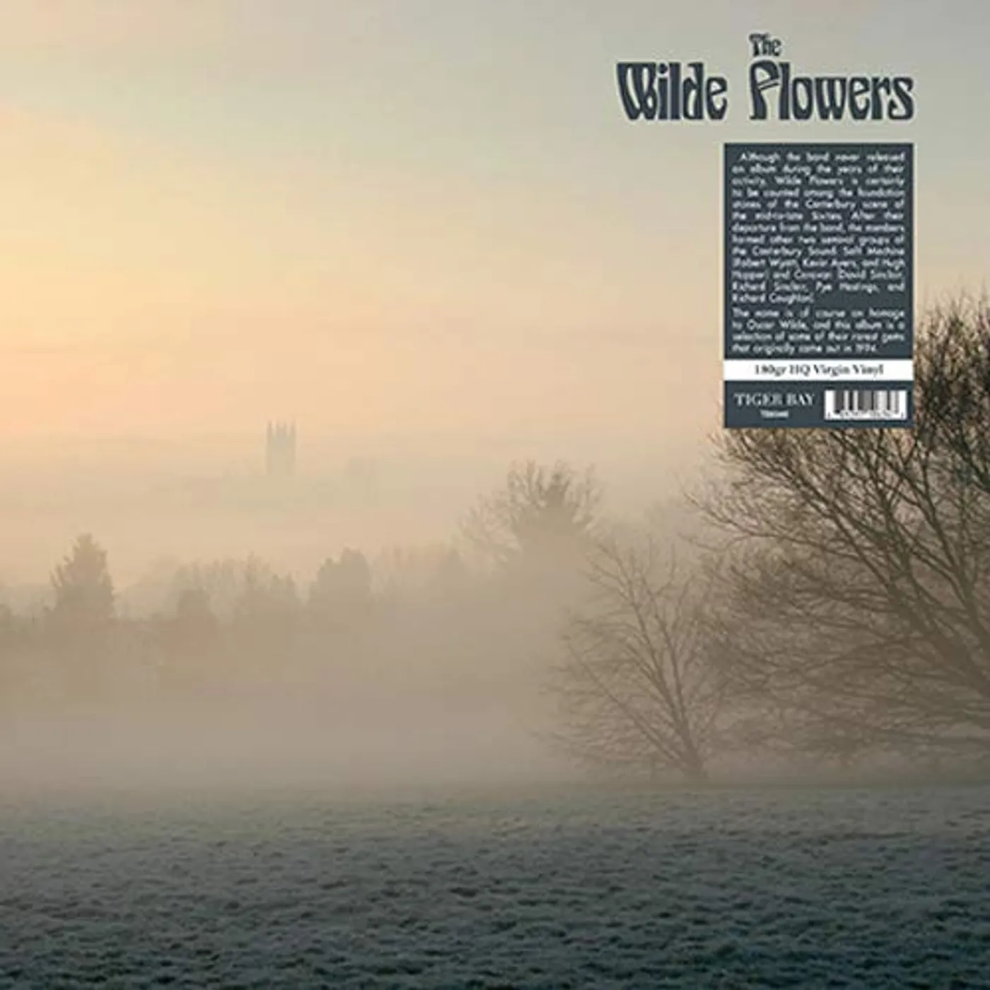 The Wilde Flowers Vinyl Record
