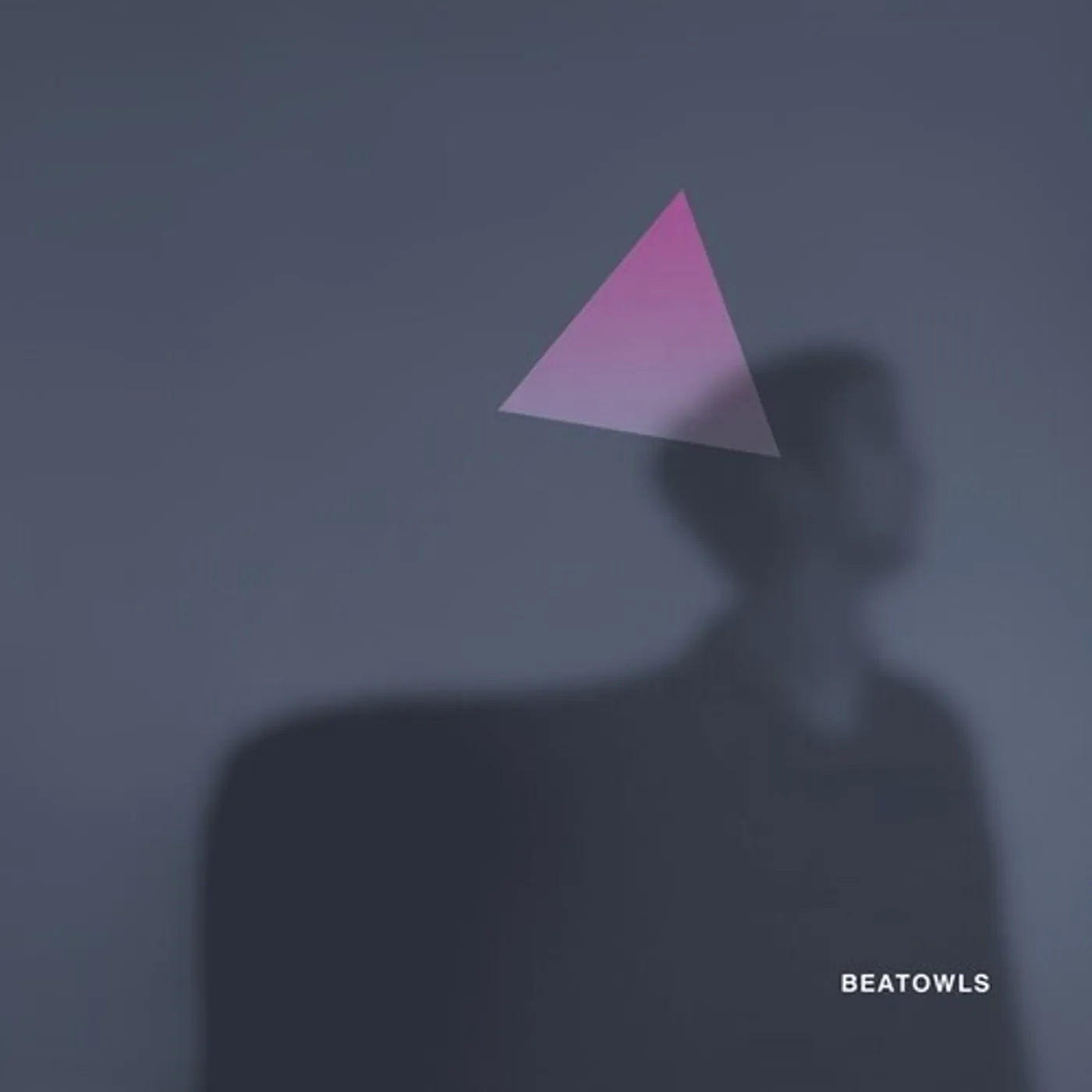Beatowls MARMA Vinyl Record