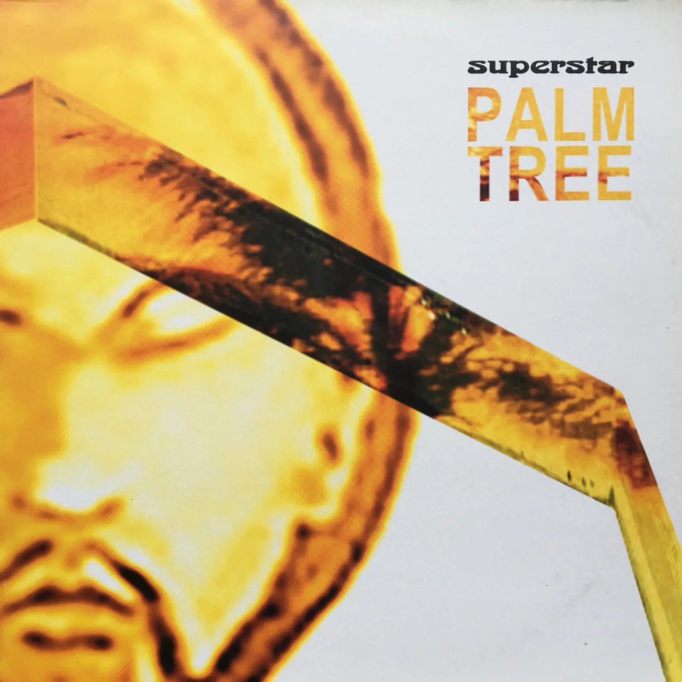 Superstar PALM TREE Vinyl Record