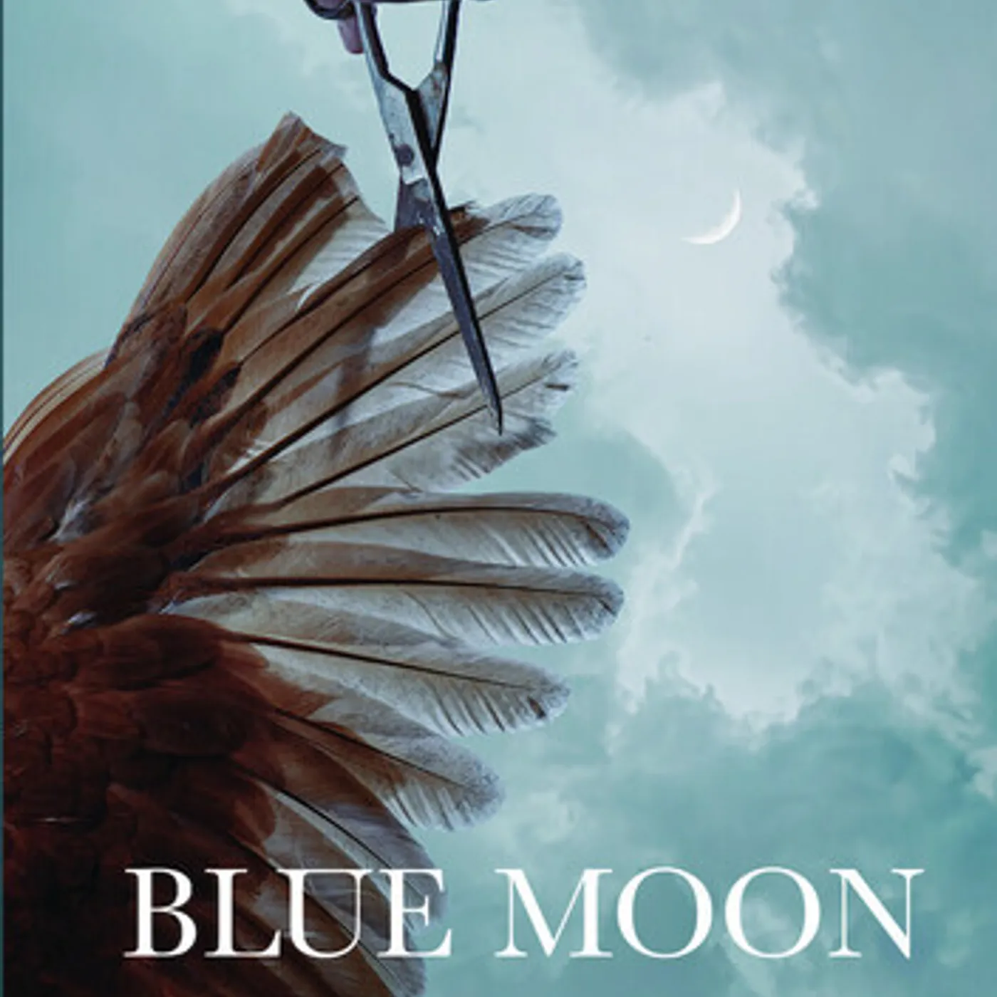 BLUE MOON DVD